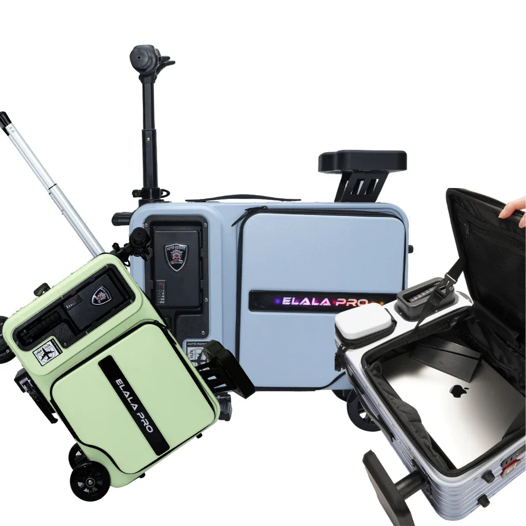 Elala Pro electric scooter luggage - green and gray